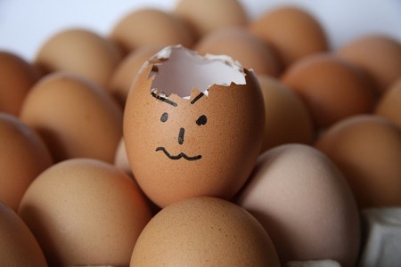 Injured egg